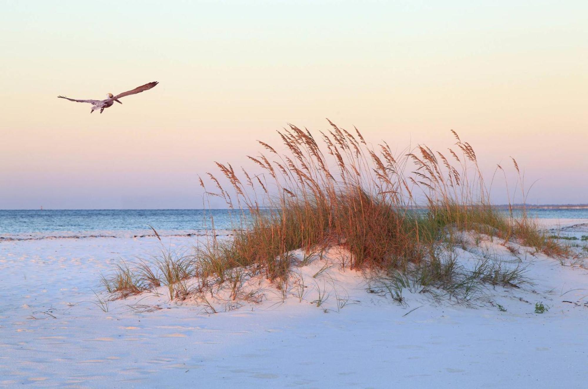 11 High Rigger Villa Hilton Head Island Exterior foto